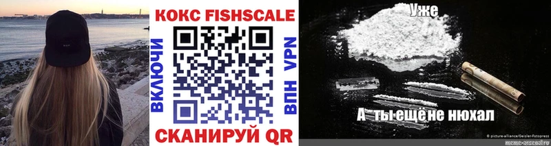 Cocaine FishScale  продажа наркотиков  Кимовск 