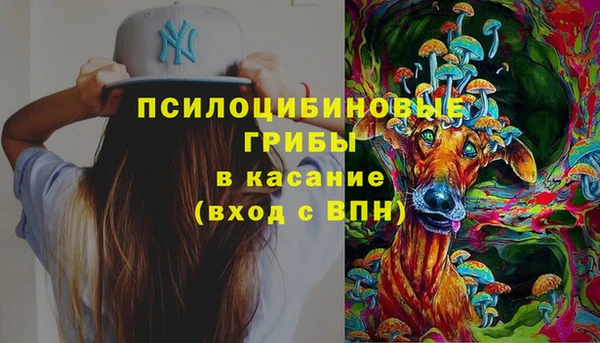 мдпв Алзамай