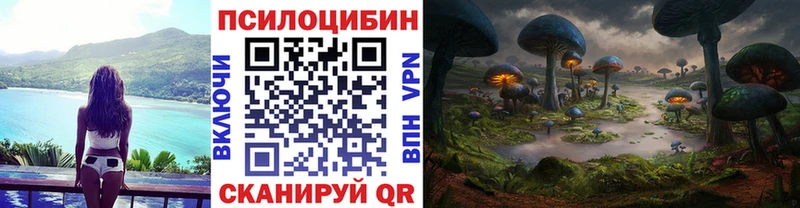 Псилоцибиновые грибы MAGIC MUSHROOMS  купить закладку  mega ссылка  Кимовск 